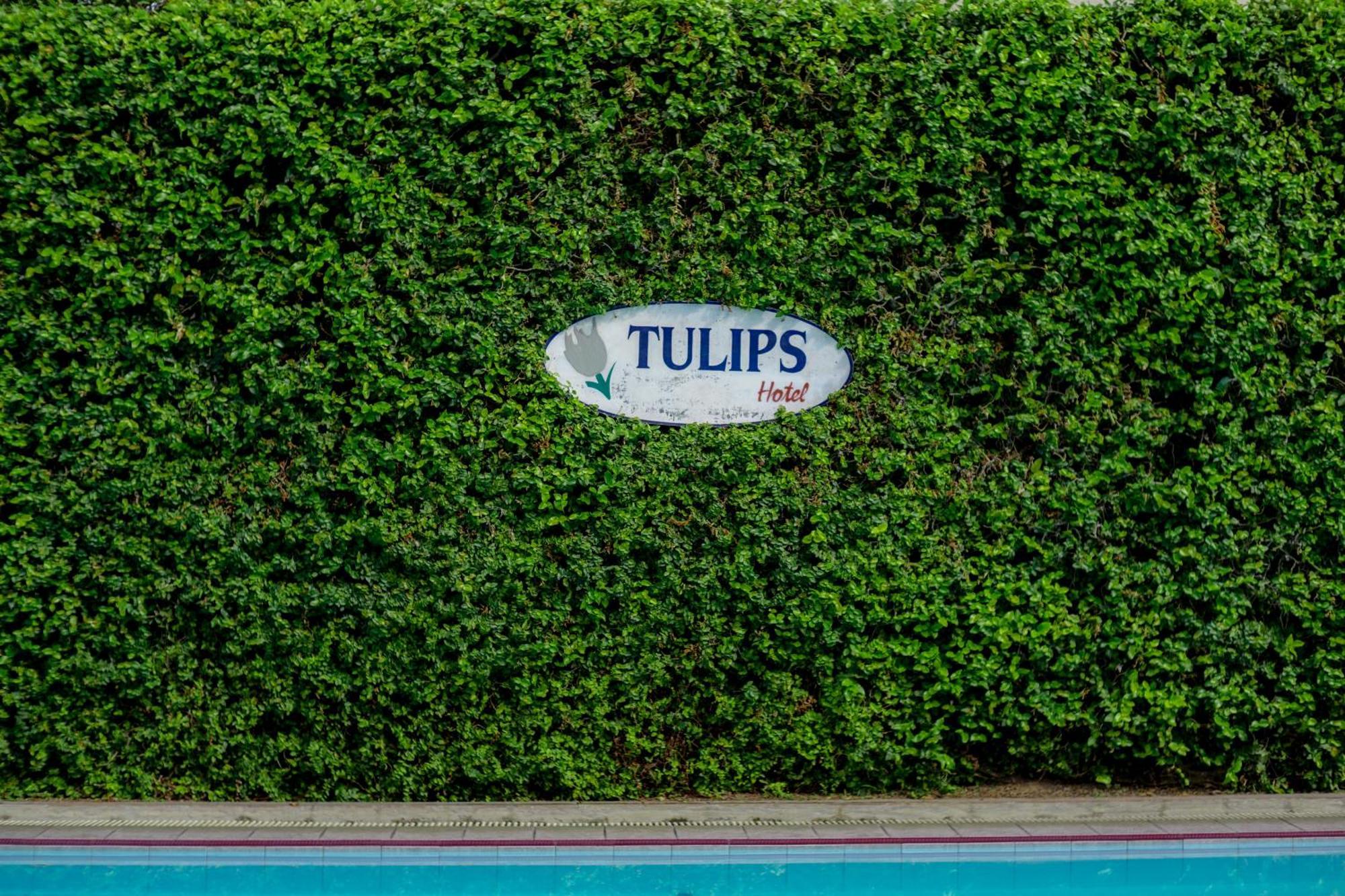 Hotel Tulips Yogyakarta Extérieur photo